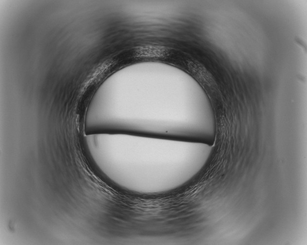 X0000098040731200804111345