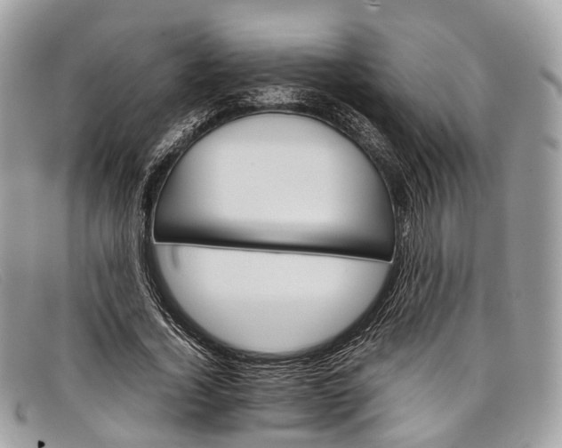 X0000098040732200804111345