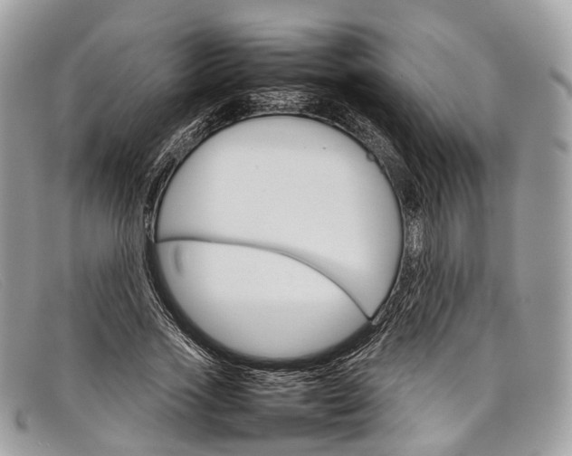 X0000098040733200804111345