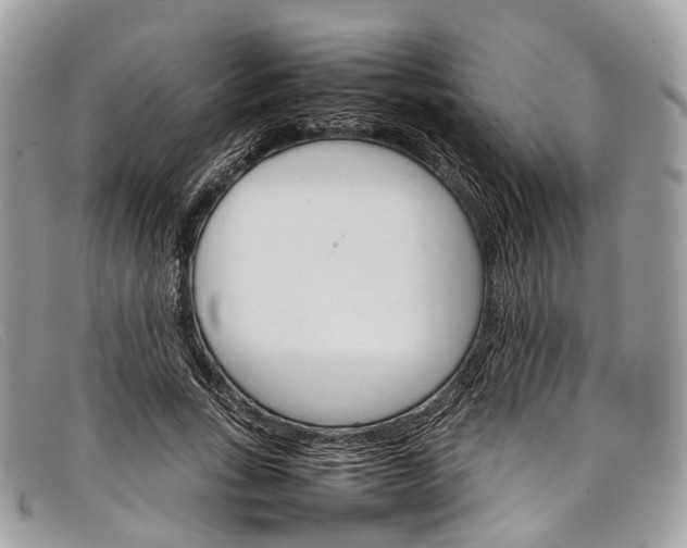 X0000098040735200804111346