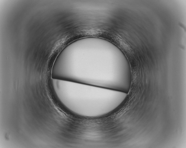 X0000098040736200804111346