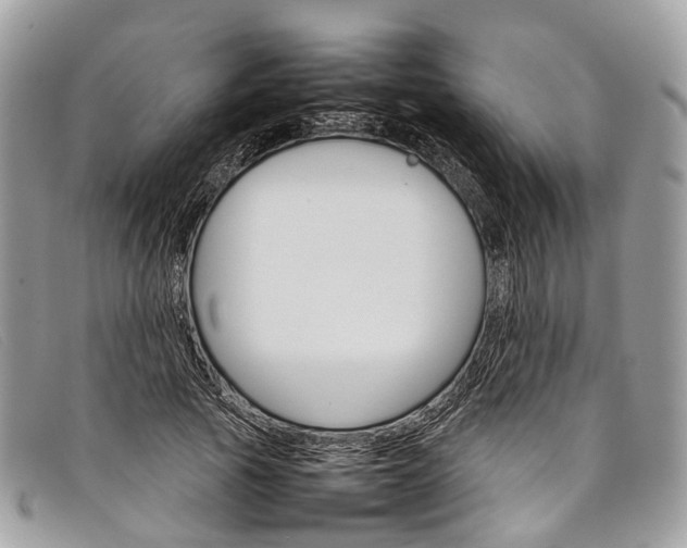 X0000098040737200804111346