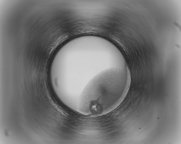 X0000098040738200804111346