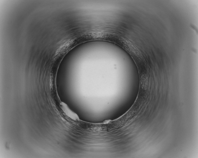X0000098040740200804111346