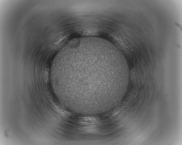 X0000098040741200804111346