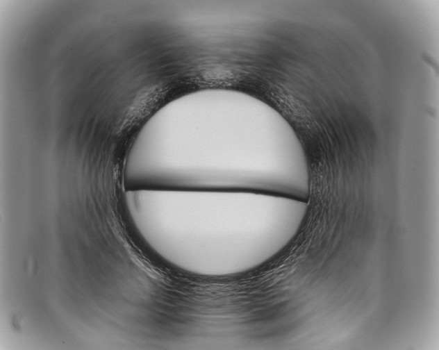 X0000098040742200804111346