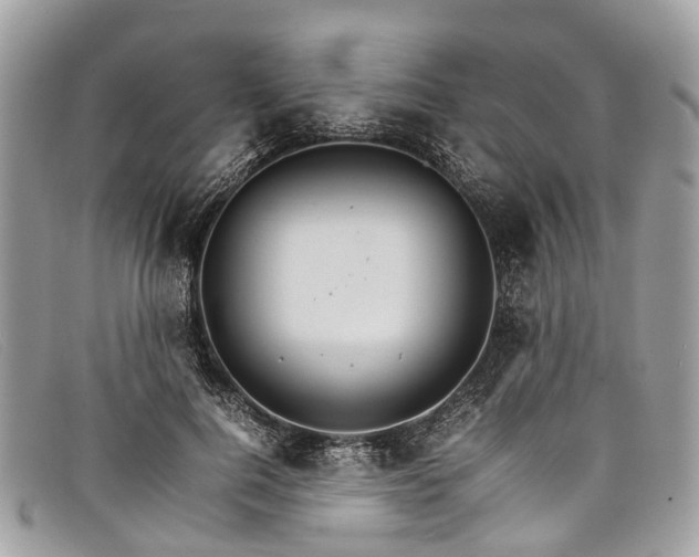 X0000098040744200804111346