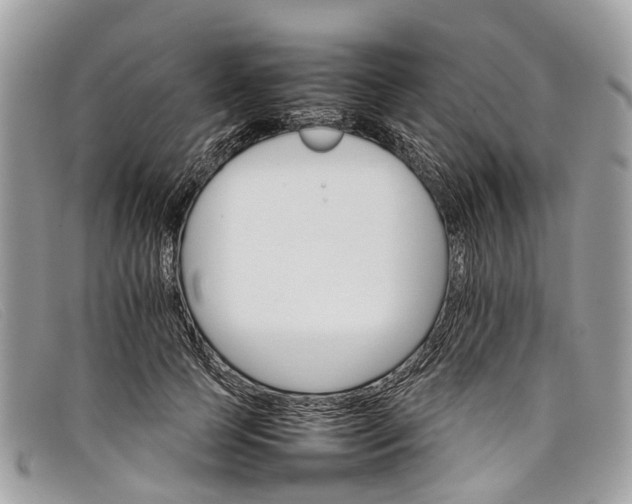 X0000098040745200804111346