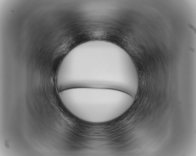 X0000098040746200804111346