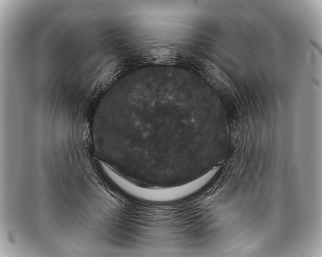 X0000098040748200804111346