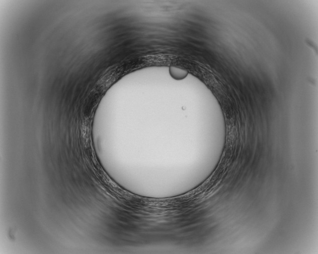 X0000098040749200804111346
