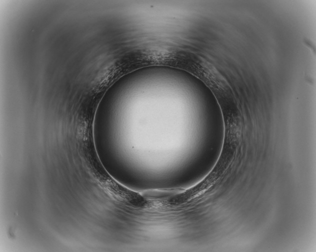 X0000098040750200804111346