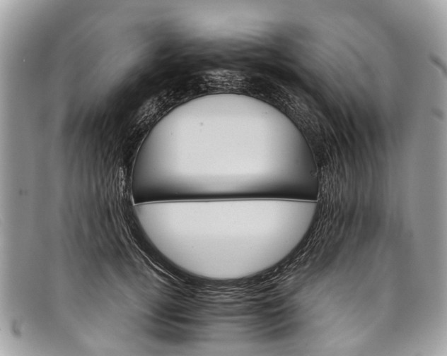 X0000098040752200804111346