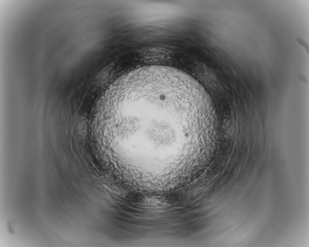 X0000098040753200804111346