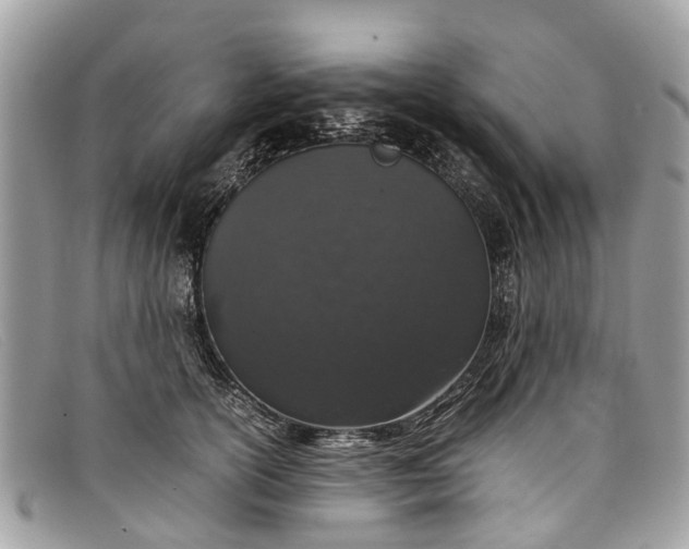 X0000098040754200804111346