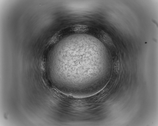 X0000098040755200804111346