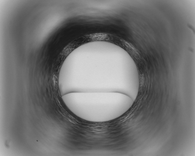 X0000098040761200804111346