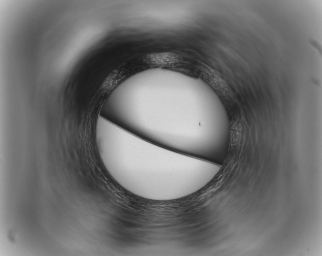 X0000098040762200804111346