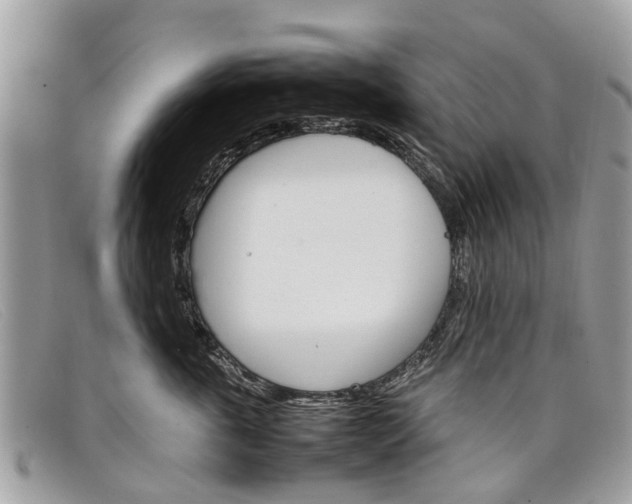 X0000098040763200804111346