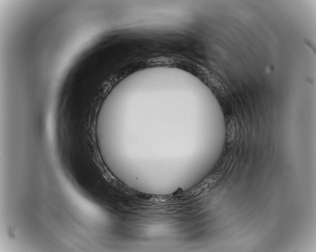 X0000098040764200804111346