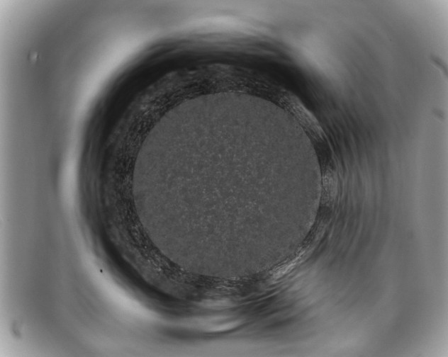 X0000098040765200804111346