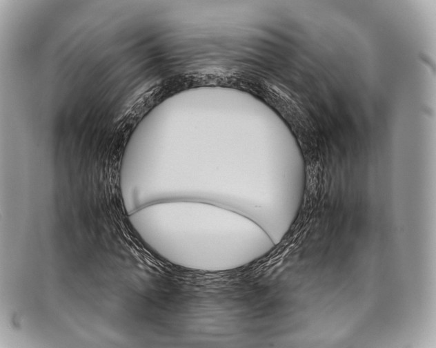 X0000098040774200804111345