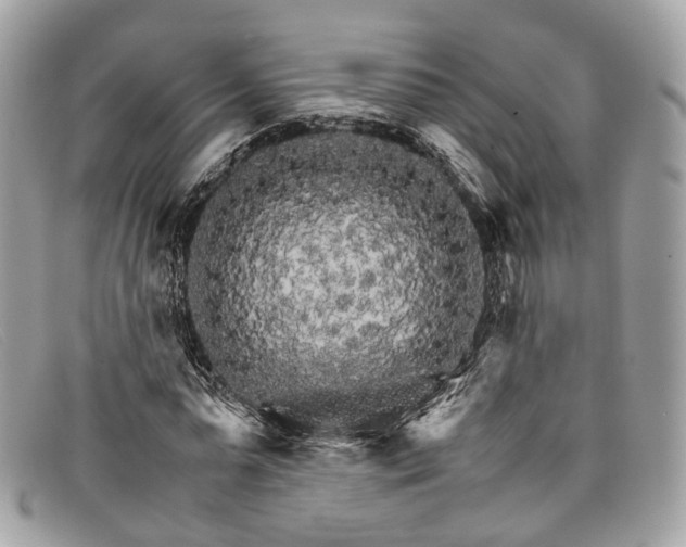 X0000098040775200804111345