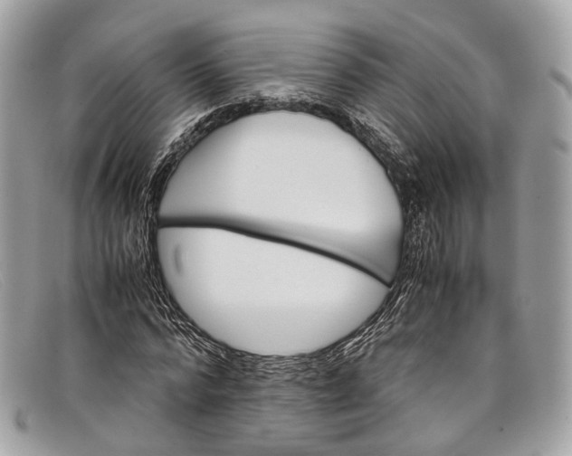 X0000098040776200804111345