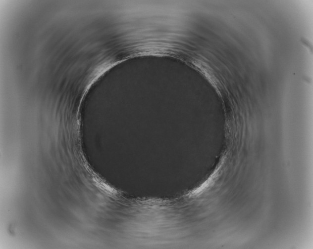 X0000098040779200804111345