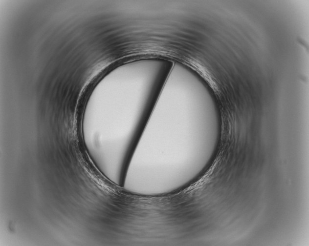 X0000098040780200804111345