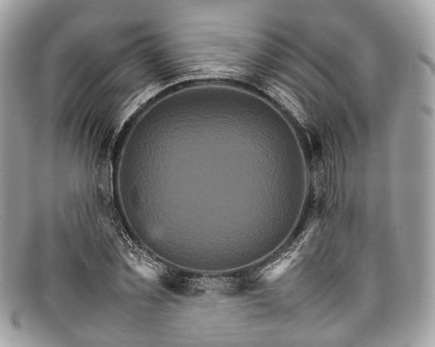X0000098040781200804111345