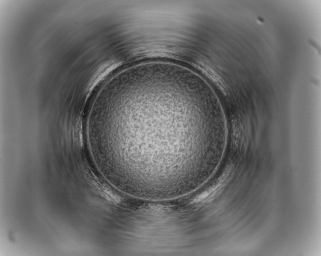 X0000098040782200804111345
