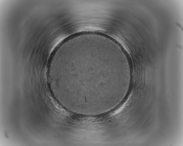 X0000098040783200804111345