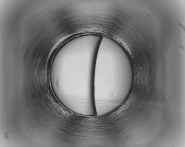 X0000098040784200804111345