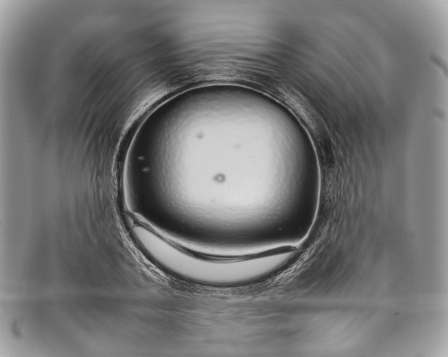 X0000098040787200804111345
