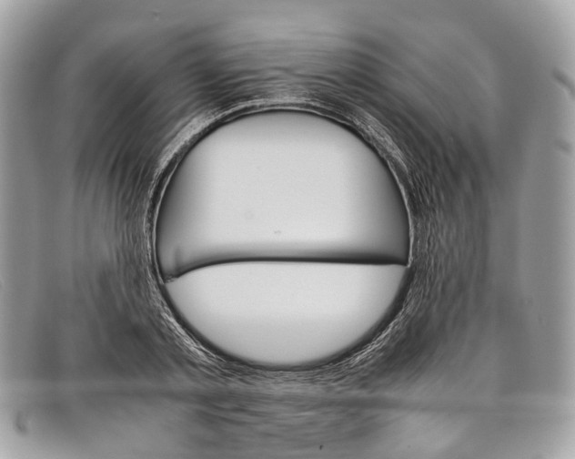 X0000098040789200804111345