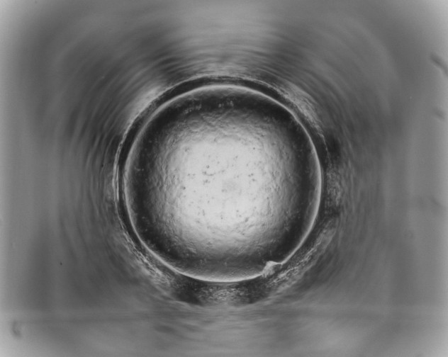 X0000098040791200804111345