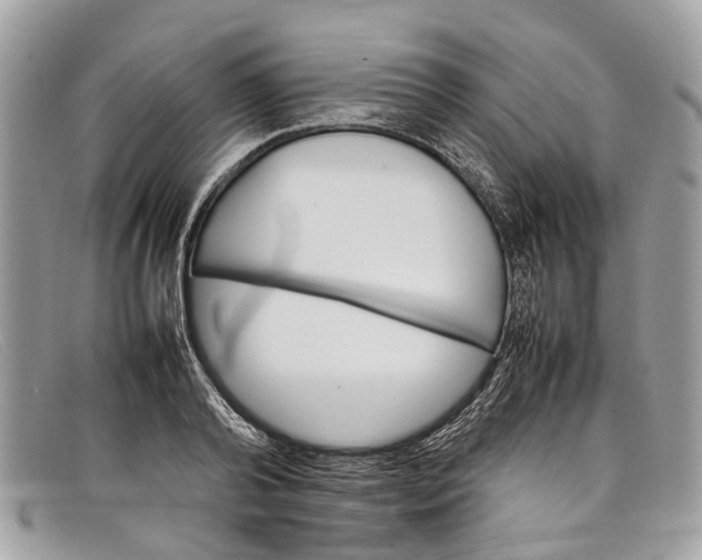 X0000098040792200804111345