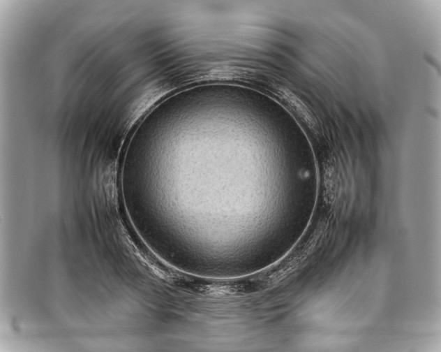 X0000098040794200804111345