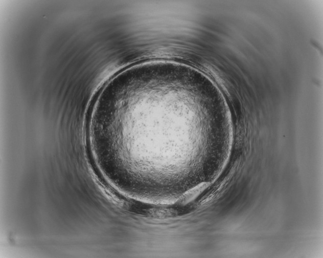 X0000098040795200804111345