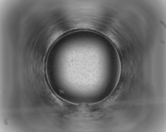 X0000098040799200804111345