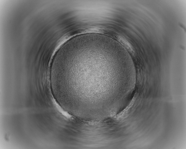 X0000098040800200804111345