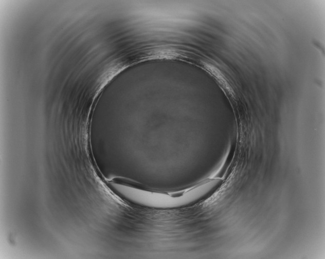 X0000098040802200804111345