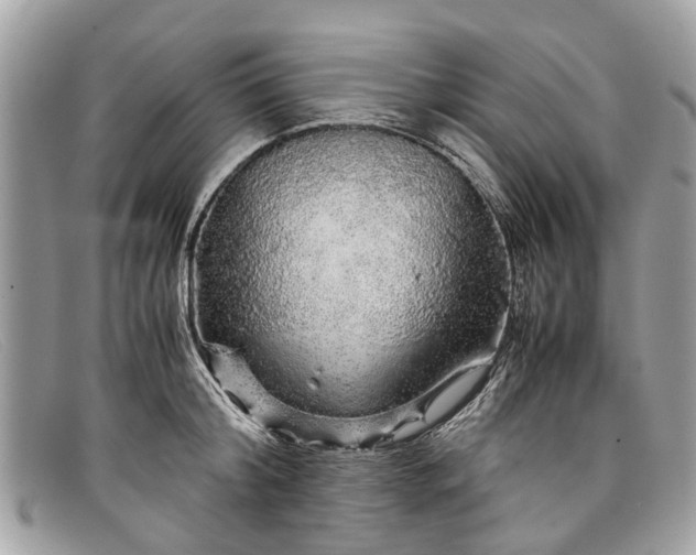 X0000098040804200804111345