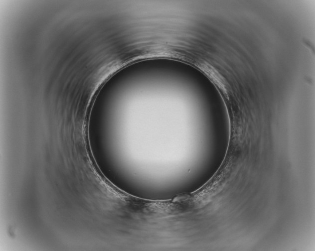 X0000098040805200804111345