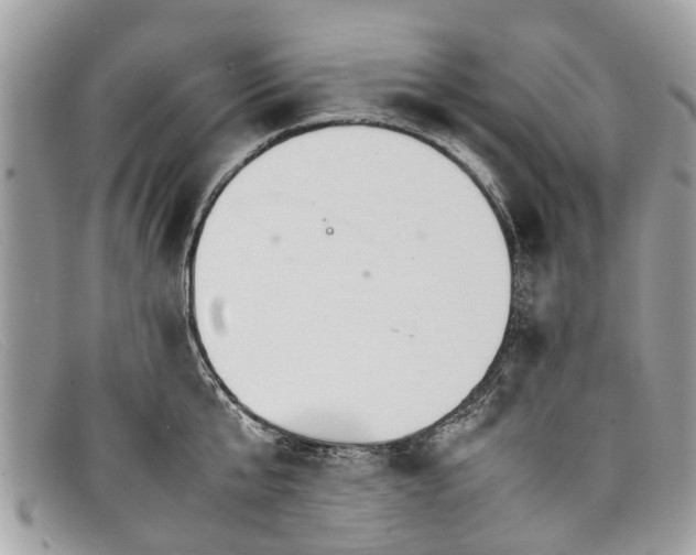 X0000098040807200804111344