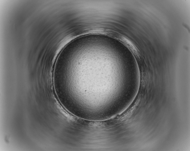 X0000098040808200804111344