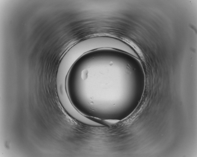 X0000098040809200804111344
