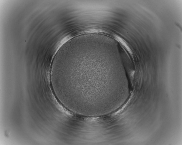 X0000098040810200804111344