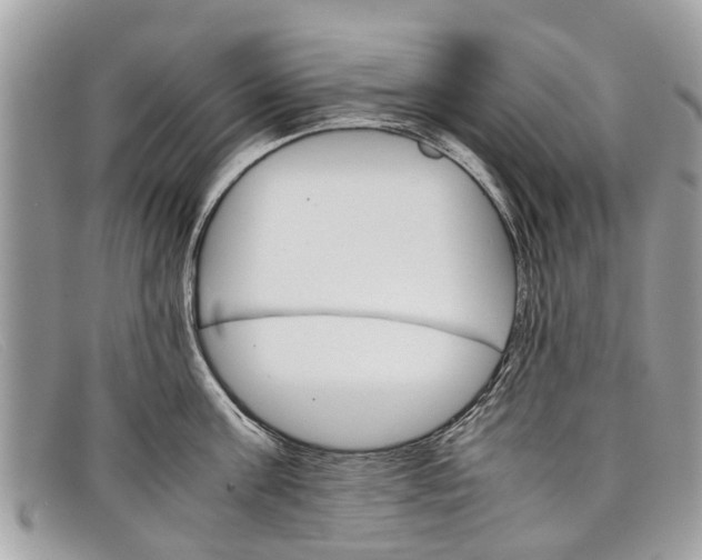 X0000098040811200804111344